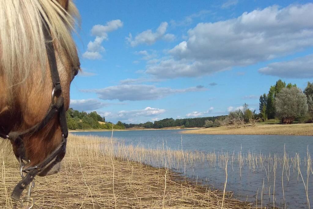Gite En Pleine Nature Proche Du Lac De La Gimone Saint-Blancard Екстериор снимка